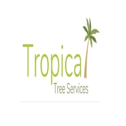 Tropical Tree Services